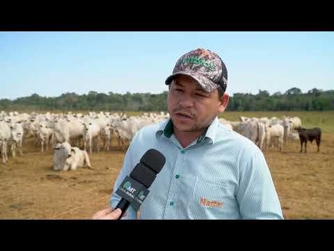 Pesquisa quer saber a pegada de carbono na produção de soja | MT Sustentável ep.42 | Canal Rural