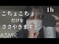 ASMR ゾクゾクこちょこちょ1時間耐久 ASMR ゾクゾクこちょこちょ1時間耐久