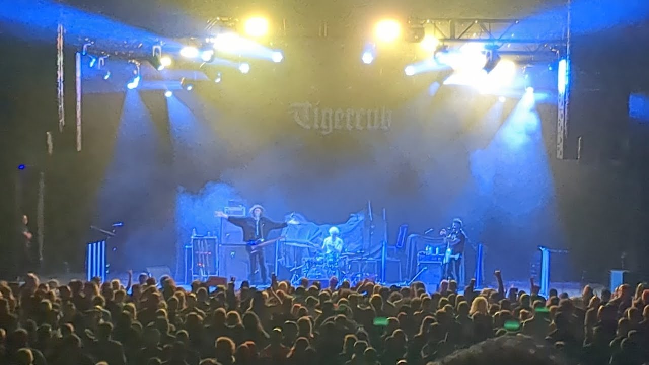 Tigercub FULL SET 2/26/2024