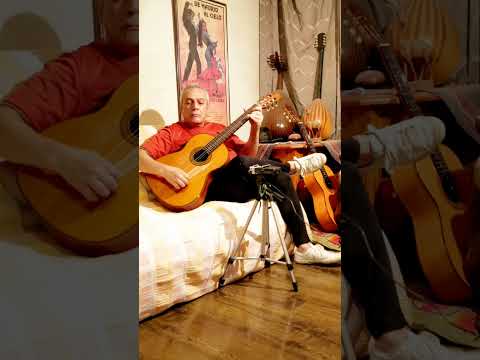 Guitar Taqasim 103 Sameh El Azab Moussa Shorts