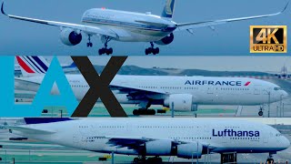 🔴 30 Minute EPIC Cinematic LAX Plane Spotting Highlight Cloudy Misty Day A380 777 A350 787 + ATC