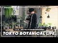 都内1LDKで育てている”1000株以上"の観葉植物達を全て紹介します【TBL36】