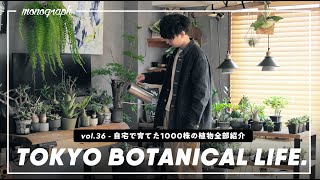 都内1LDKで育てている”1000株以上"の観葉植物達を全て紹介します【TBL36】