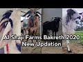 Al-Shaji Farms Bakreth 2020 Current Updation