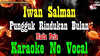 Iwan Salman - Pungguk Rindukan Bulan Karaoke [ Nada Pria ] Babah Entertainment