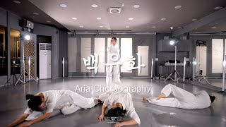 안예은 & 우예린 - 백유화 ( AHN YEEUN & WOO YERIN - Burn Like A Star ) Aria Choreography