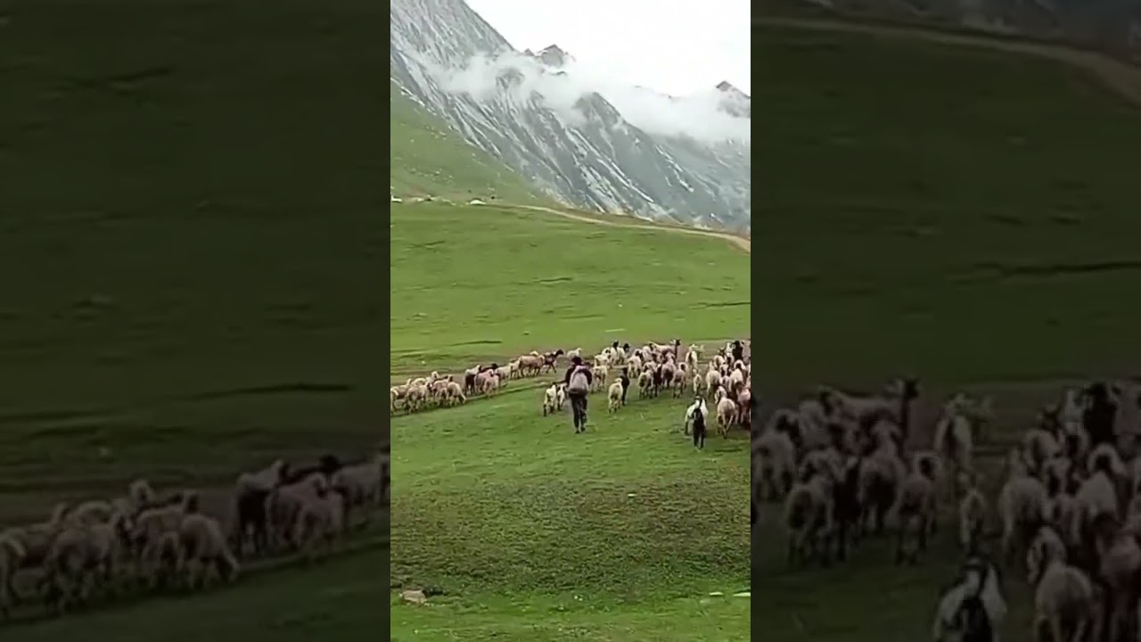 🌿 Darood Sharif on Jumma | Baboon Valley Beauty | Spiritual Nature Vibes 🌿 