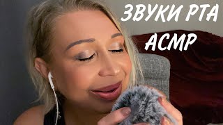 АСМР Звуки Рта | Меховая ветрозащита | ASMR Mouth Sounds