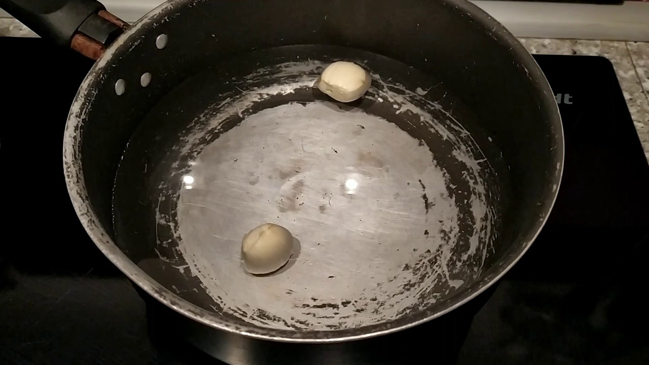 UNE INFUSION DE THYM & AIL POUR VOS OISEAUX 🌿🐦