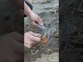 Portable Magnesium Fire Starter | Wilderness Survival Fire Tool