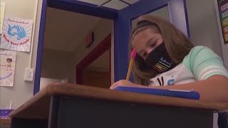 NYS Considers School Vax Requirement
