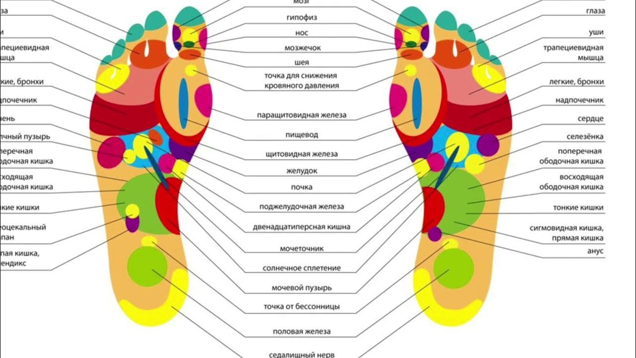 Точки на ногах для массажа. Акупунктурные точки на стопе. Биологически активные точки на стопе. Активные точки на стопах ног. На пальцах ног точки что это.