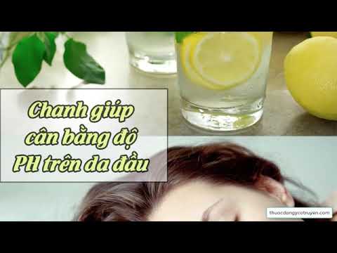 Gàu Ống Trên Tóc là gì Và Cách trị gàu ống hiệu quả tại nhà | Vabuta – Kiến Thức Đông Y | Tóm tắt những tài liệu liên quan đến cách trị gàu ống chuẩn nhất