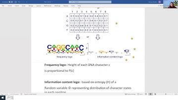 Height of DNA Motif Information Content Logo