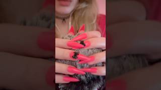 ASMR Microphone Tingles #asmrmicscratching #asmrtingles #asmrtriggers