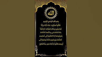من أروع تلاوات سورة يوسف (58-67) للشيخ ياسر سلامة