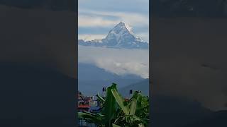 Good Morning Everyone view from My Window 🌞🌄 #goodmorning #himalayas #nature