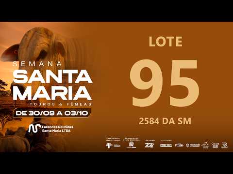 LOTE 95 FSM A2584