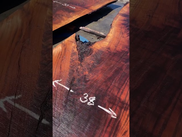 #6 #walnut live edge walnut slabs now available #thelumberbaron #realgoodwood #curlywalnut