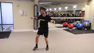 Connexus Column Workout - rip trainer rotational press