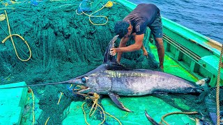 "OMG! You won't believe this amazing catch!Sail Fish Loading On Boat!!!