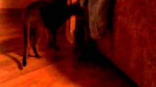 06112010004.mp4