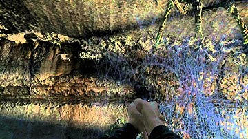 Metro 2033 REDUX - Spider Smacking Simulator