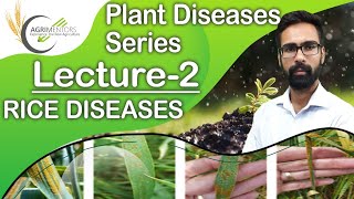 PLANT DISEASES SERIES | RICE DISEASES | LECTURE- 2 | AGRIMENTORS CHANDIGARH