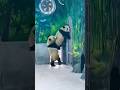 Funny Panda Show 10