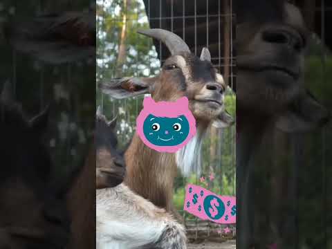 #africa #games #homeworkout #startuplife #veganrecipes by Ghana Kumasii