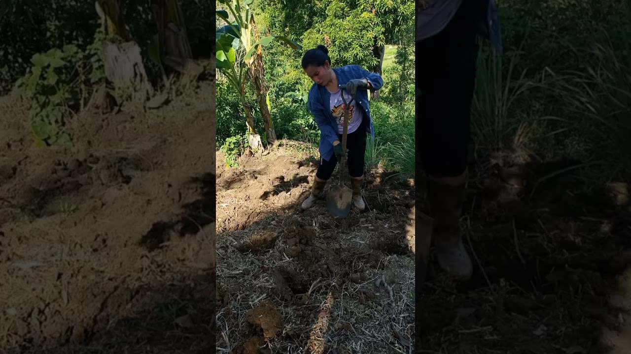 Province life |gardening season na