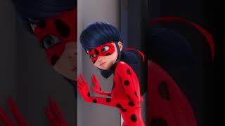 Güzel Bir O Ğurböceği