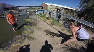 Gator Wrestling 2017