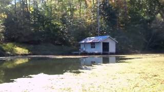 How to control Aquatic Weeds "Watershield" with Growingreen