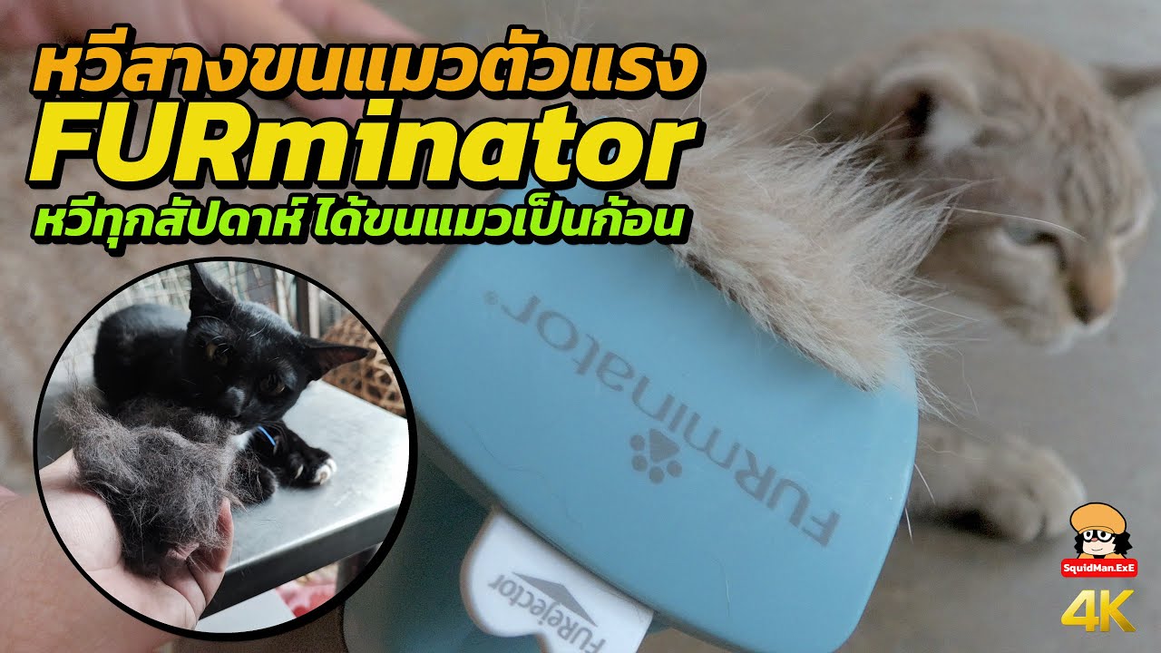 FURminator หวีสางขนแมวตัวแรง  หวีทุกสัปดาห์ ได้ขนแมวเป็นก้อน