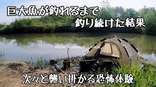 【釣りキャンプ】遂にぬし交代巨大魚を庭池に放す川でキャンプ飯