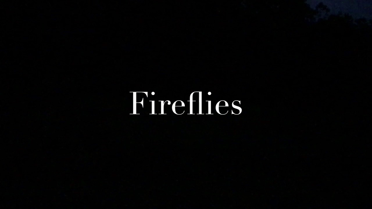 live free armory fireflies are BETTER than fireworks!! (sit back and enjoy this video)