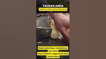 MANFAAT KESEHATAN LOBAK #sayuransehat #shorts #viralvideo #herbal #obatherbal #herbalifenutrition
