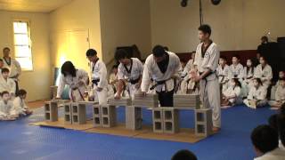 Hidden Dragon TKD- Brick Breaking.MTS