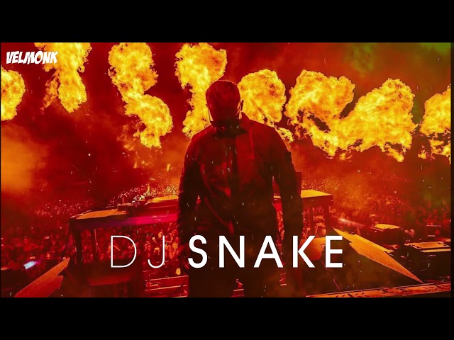 Dj Snake Mix ✖️ Best of Remix, Mashup and Songs..... ✖️ | #VM #12 class=