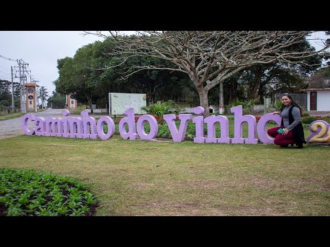 Caminho do Vinho: Conheça Esse Lugar em São Jose dos Pinhais