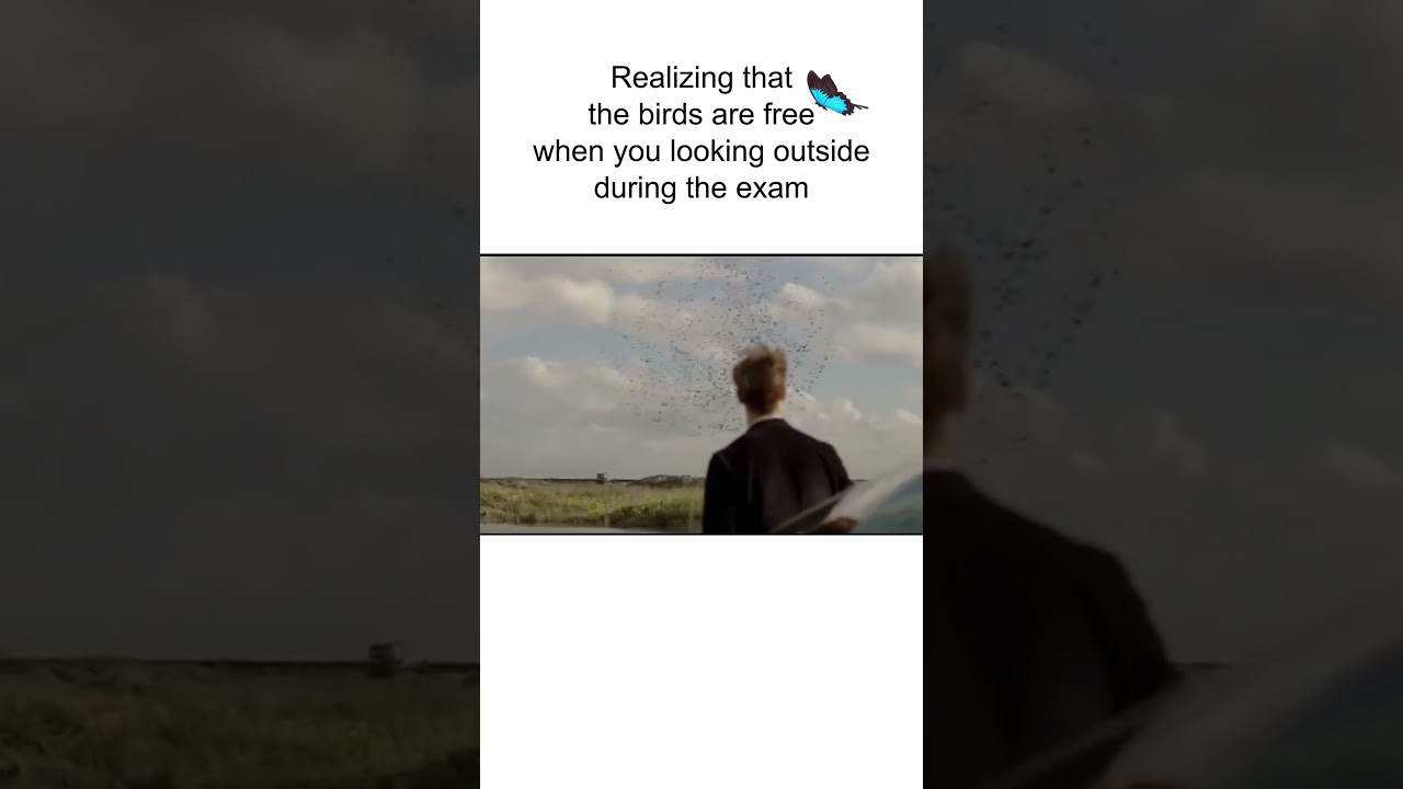 Wants to be free as birds 🕊️       