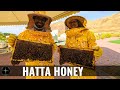 HATTA Honey Bee Garden Tour