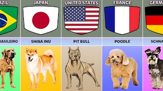 Dog From Different Countries