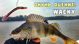 Ловля Весеннего Окуня на Оснастку Wacky, отводной поводок, проводка анимация приманки Рыбалка Апрель