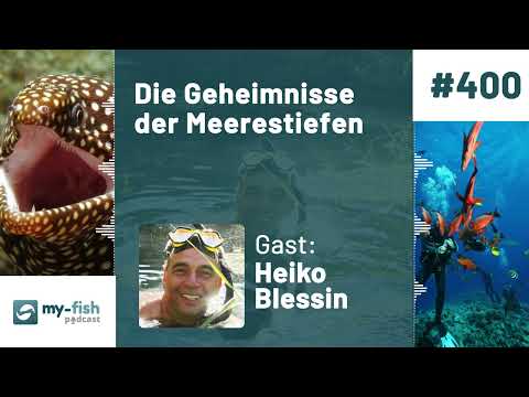 my-fish.org - The secrets of the ocean depths - Discover fascinating creatures.. (Heiko Blessin)