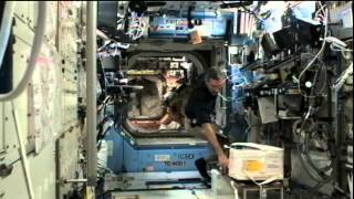 ISS Update - Dec. 1, 2011