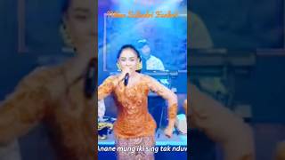 Niken Salindri Funkot - Kalih Welas #nikensalindri #kalehwelasku