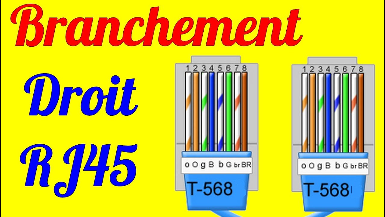 raccordement Branchement Cablage Droit Cable RJ45 T586 A