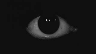 Why You Feel Watched Even When Alone